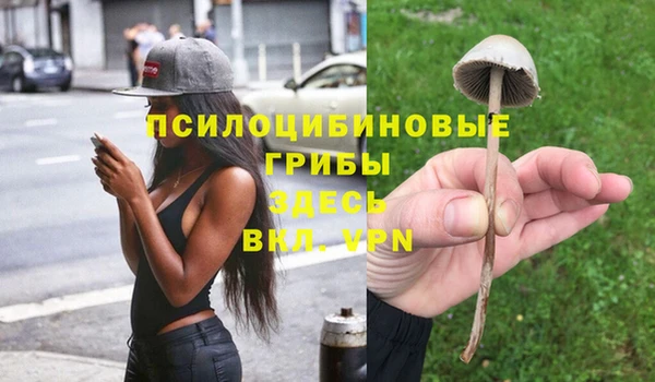 MDMA Premium VHQ Алзамай